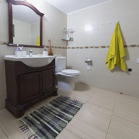 Satori House Vandrarhem Limassol