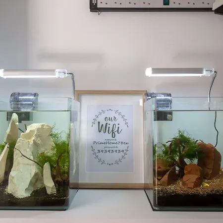 Hostal Satori House *