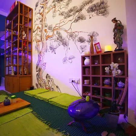 Vandrarhem Satori House