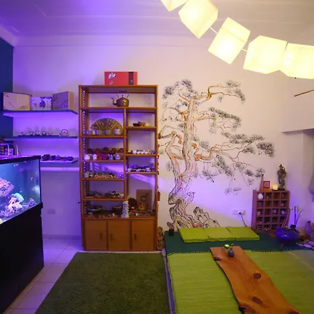 Vandrarhem Satori House *