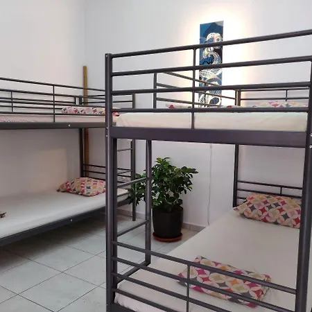 Satori House Vandrarhem