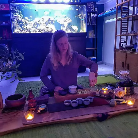 Satori House Vandrarhem