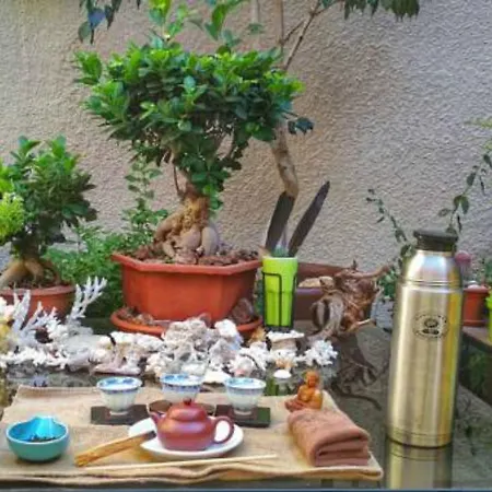 Satori House *