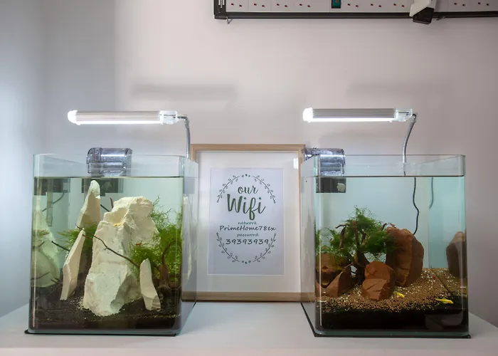 Hostal Satori House *